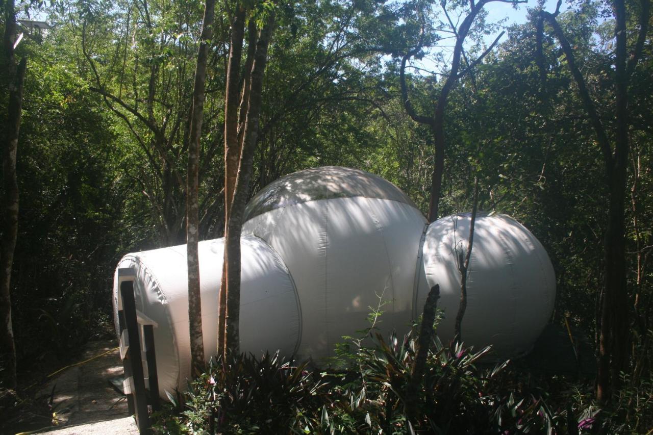 Maisons Bulles Deluxe Bouillante Exterior foto